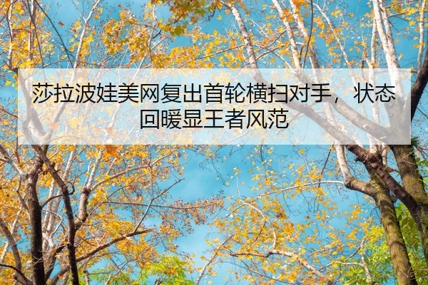 sha-la-bo-wa-mei-wang-fu-chu-shou-lun-heng-sao-dui-shou-zhuang-tai-hui-nuan-xian-wang-zhe-feng-fan-2-284.jpg