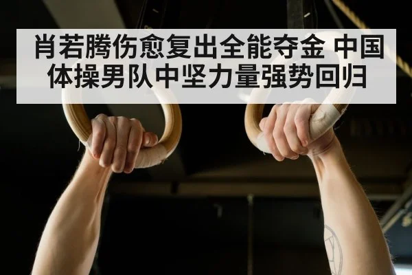 肖若腾伤愈复出全能夺金 中国体操男队中坚力量强势回归
